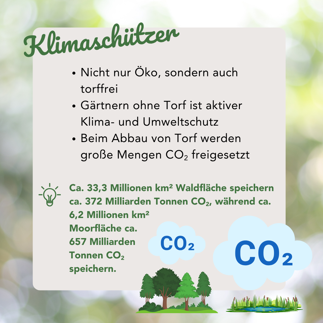 Bio-Pflanzerde, torffrei, 60 l