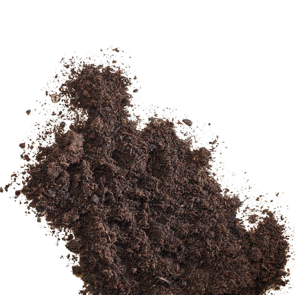 Presto Humus Blumenerde torffrei 20 l
